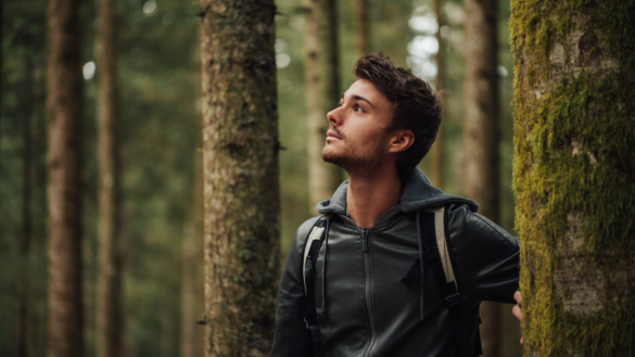 Vi mår bättre av att vistas i skogen